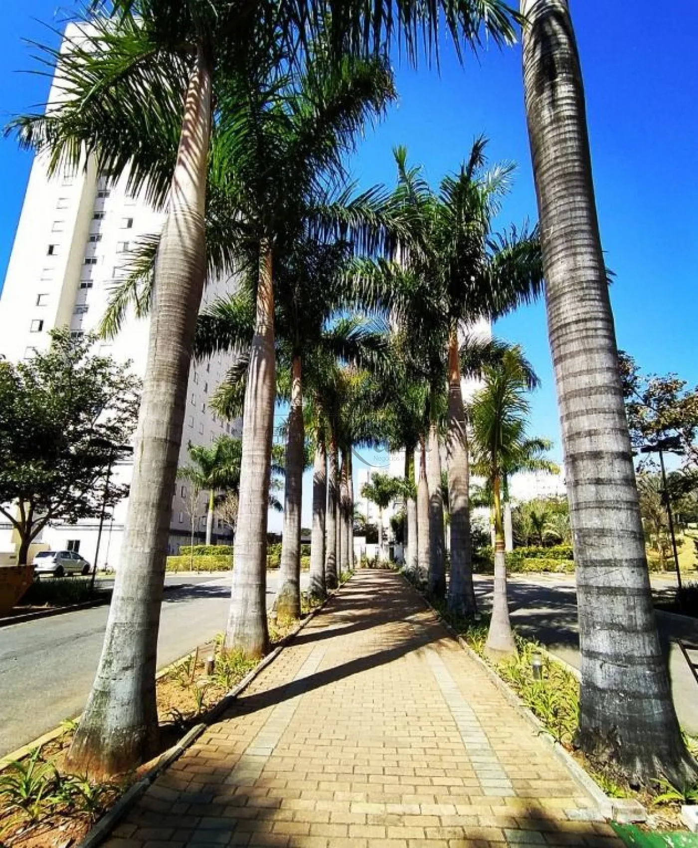 Foto 17 de Apartamento Cobertura em Jardim Copacabana, São José dos Campos - imagem 17