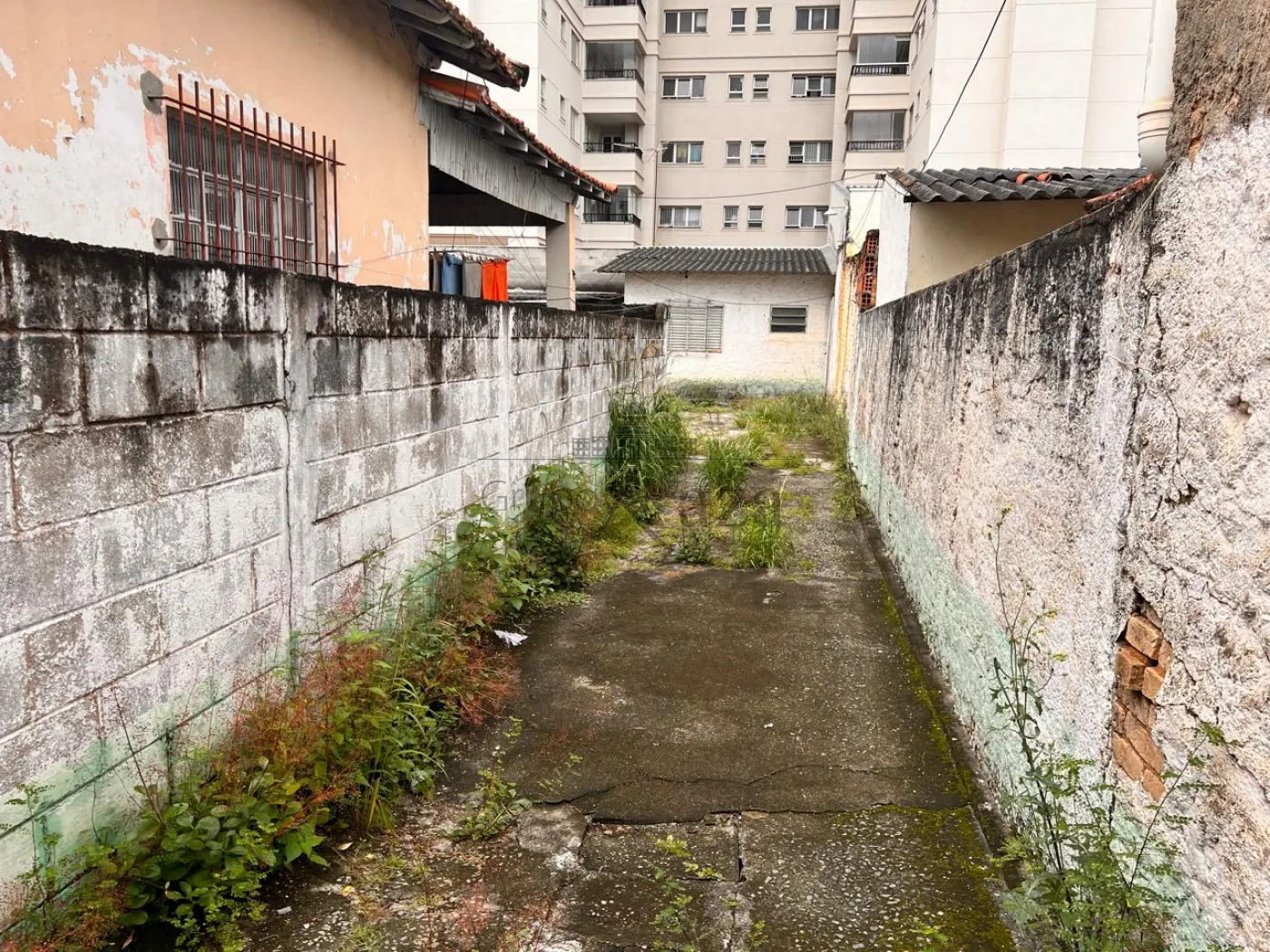 Foto 8 de Terreno Padrão em Vila Guaianazes, São José dos Campos - imagem 8