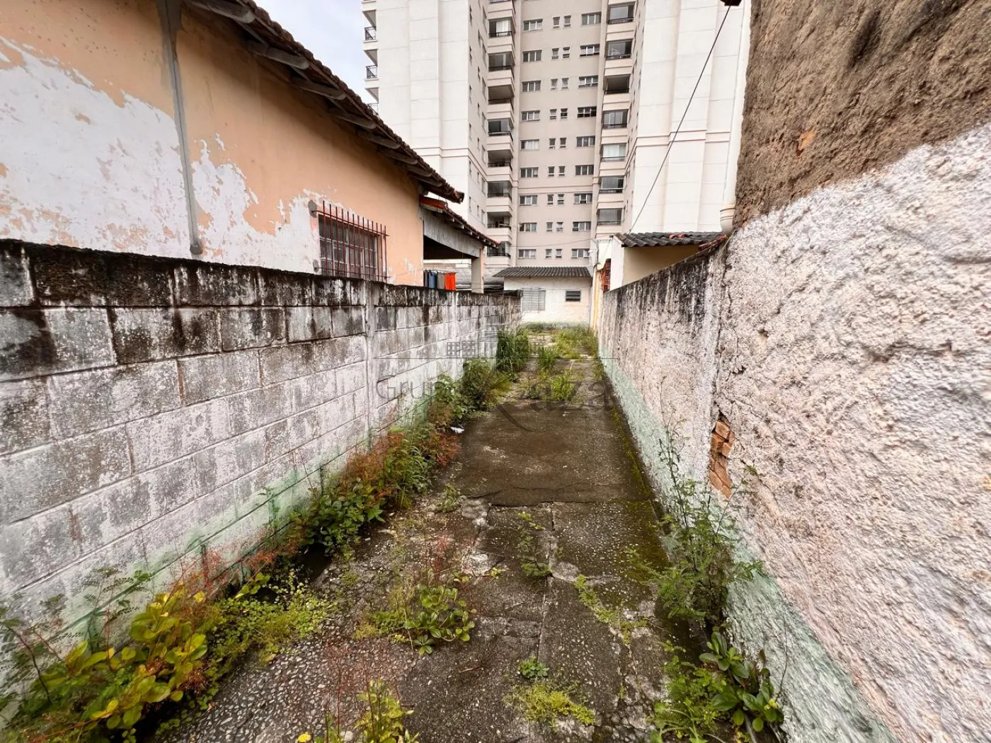 Foto 9 de Terreno Padrão em Vila Guaianazes, São José dos Campos - imagem 9