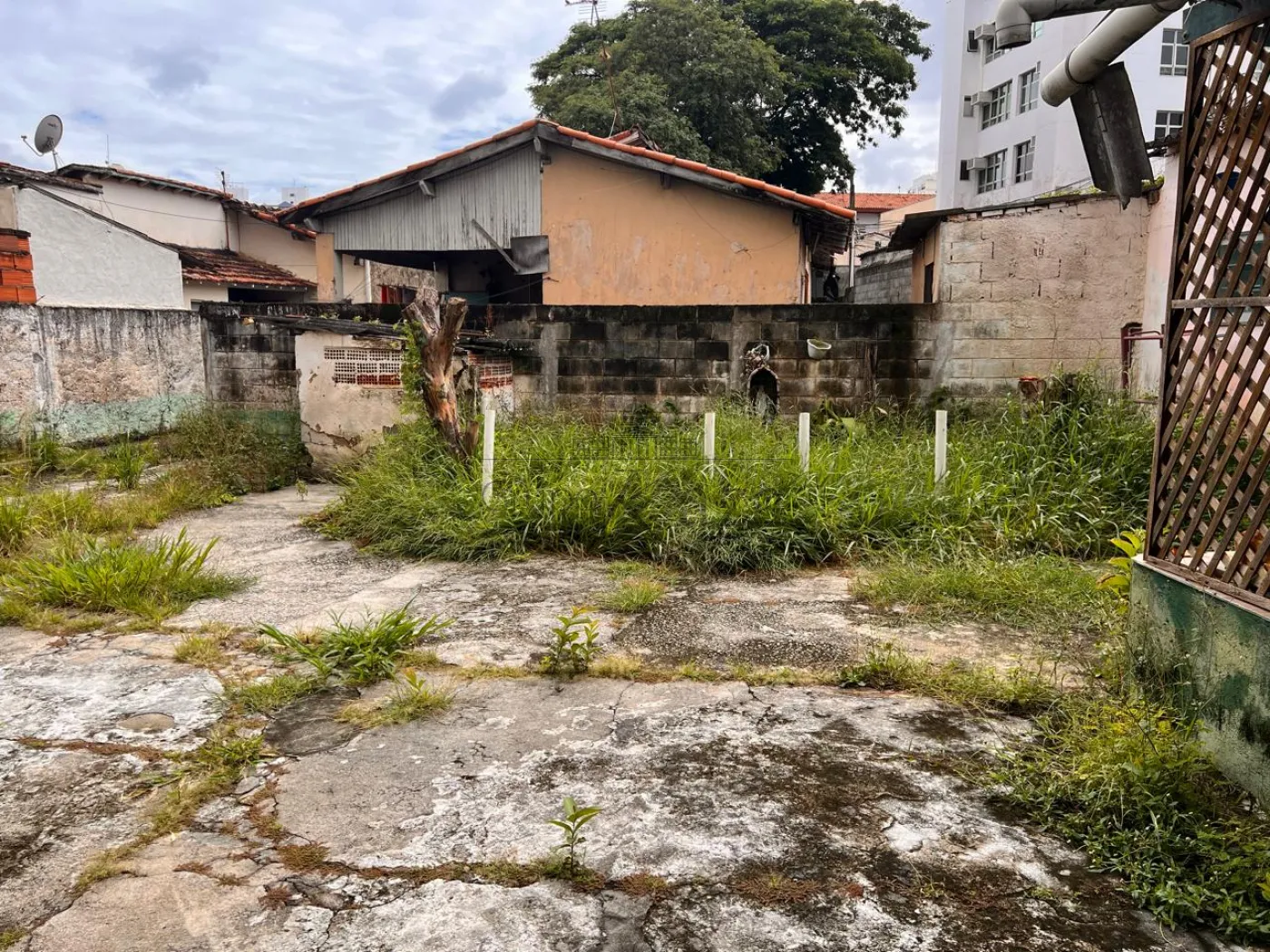 Foto 3 de Terreno Padrão em Vila Guaianazes, São José dos Campos - imagem 3