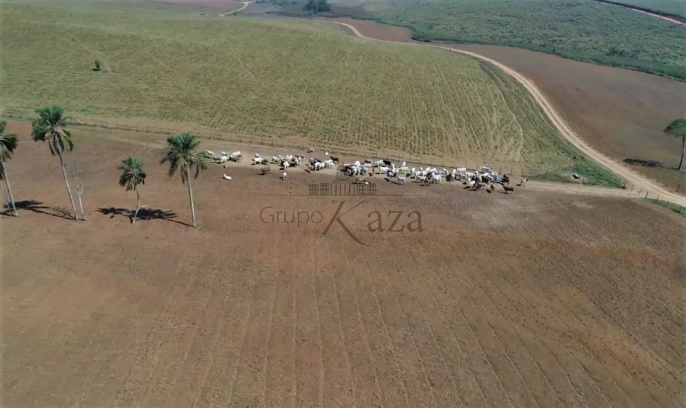 Foto 4 de Rural Fazenda em Chácara Marambaia, Caçapava - imagem 4