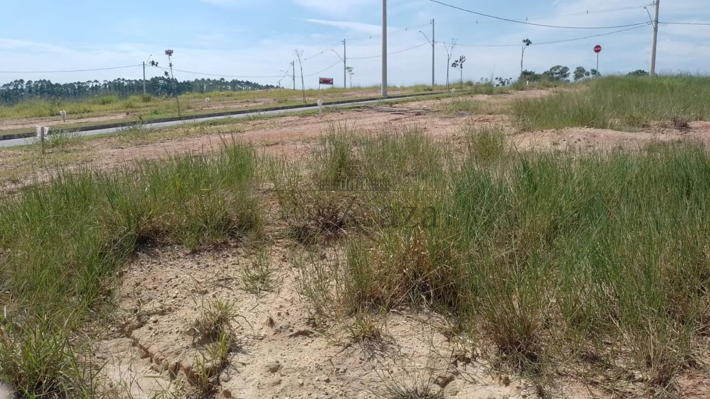 Foto 6 de Terreno Padrão em Vila Amélia, São José dos Campos - imagem 6