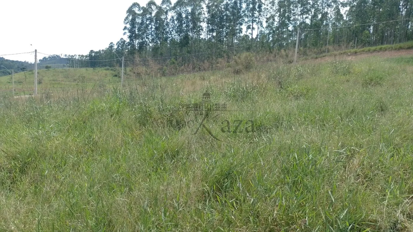 Foto 6 de Terreno Padrão em Vila Amélia, São José dos Campos - imagem 6
