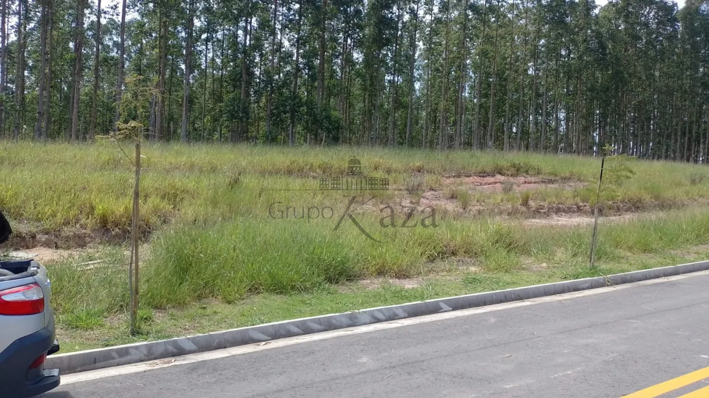 Foto 3 de Terreno Padrão em Vila Amélia, São José dos Campos - imagem 3