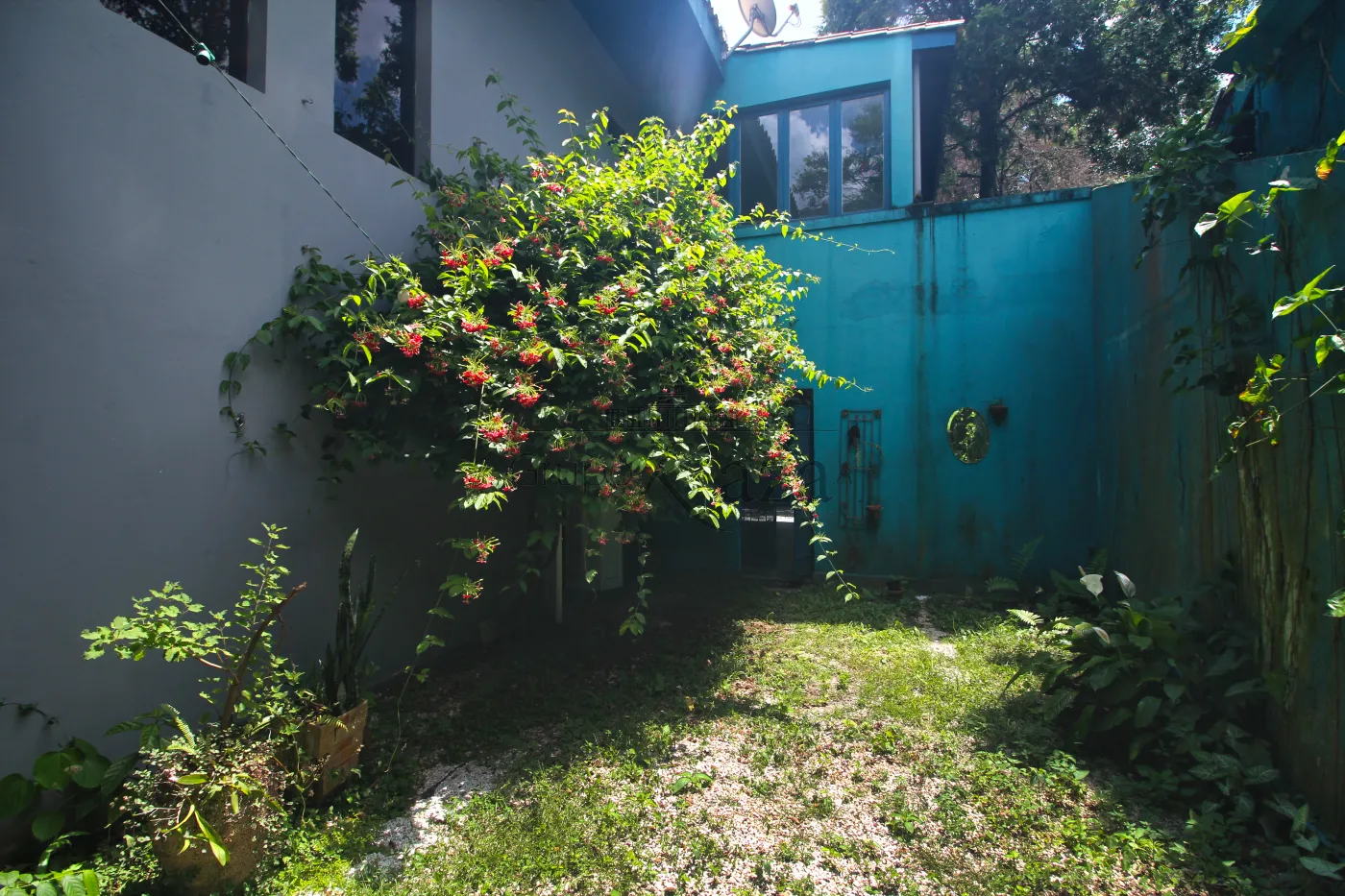 Foto 31 de Casa De Rua Fechada em Jardim Vitória Régia, São Paulo - imagem 31