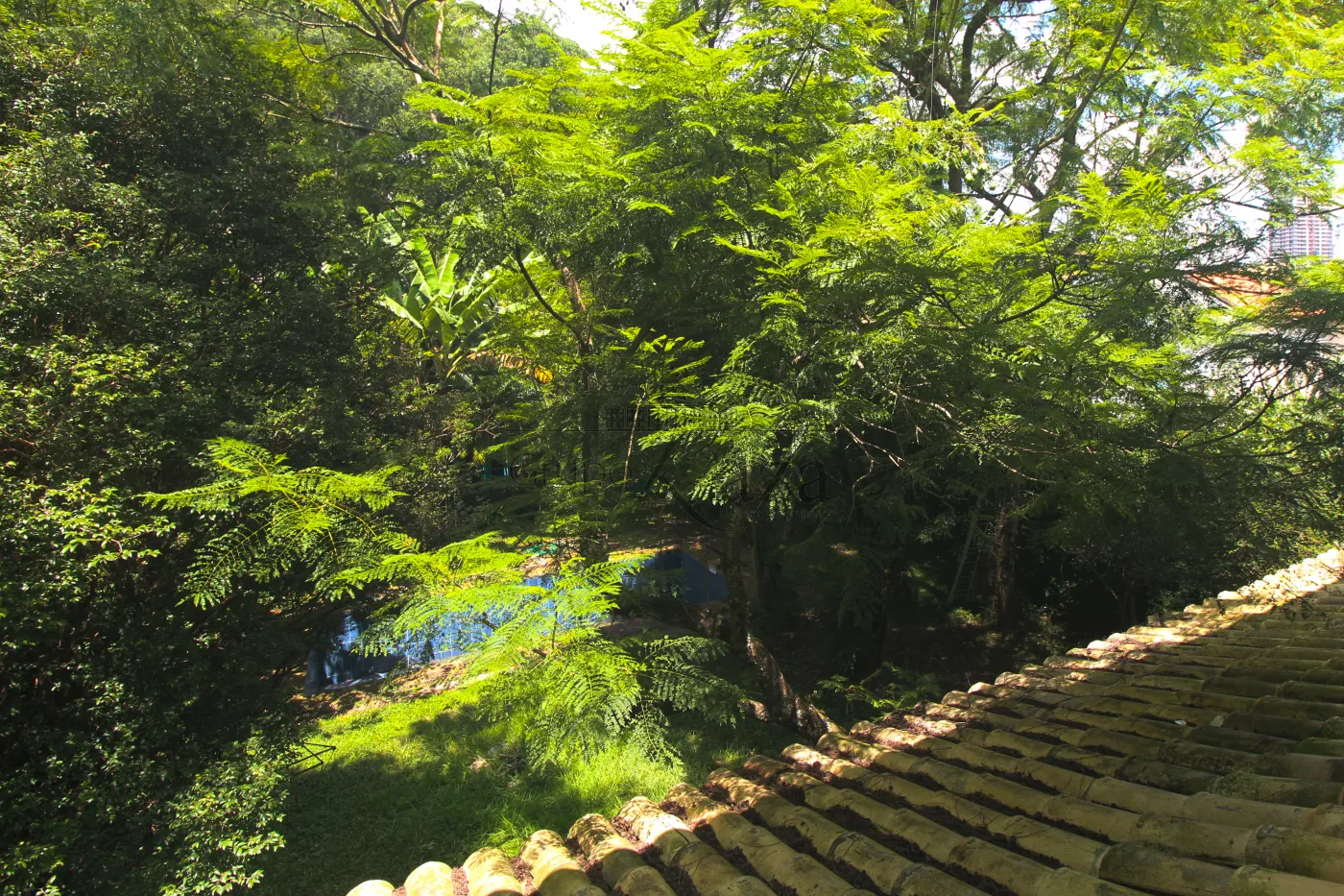 Foto 39 de Casa De Rua Fechada em Jardim Vitória Régia, São Paulo - imagem 39