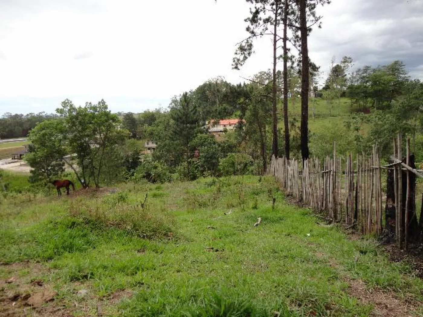 Foto 1 de Terreno Padrão em Veraneio Ijal, Jacareí - imagem 1
