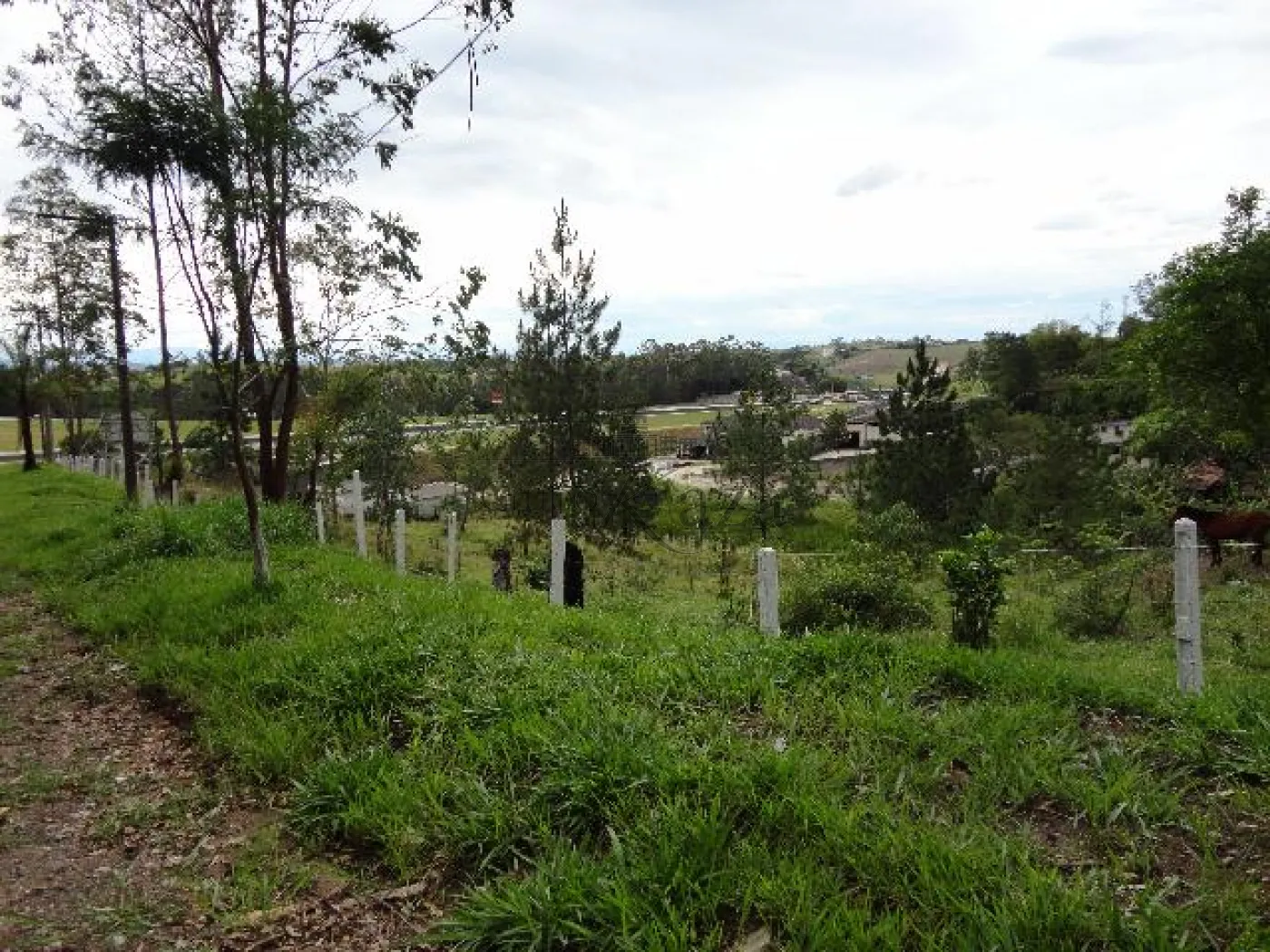Foto 1 de Terreno Padrão em Veraneio Ijal, Jacareí - imagem 1