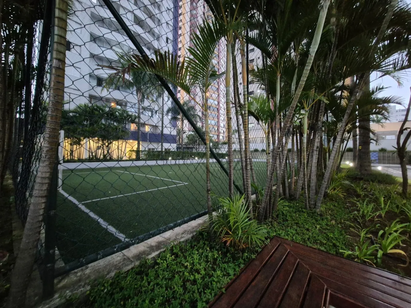 Foto 14 de Apartamento Padrão em Cambuci, São Paulo - imagem 14