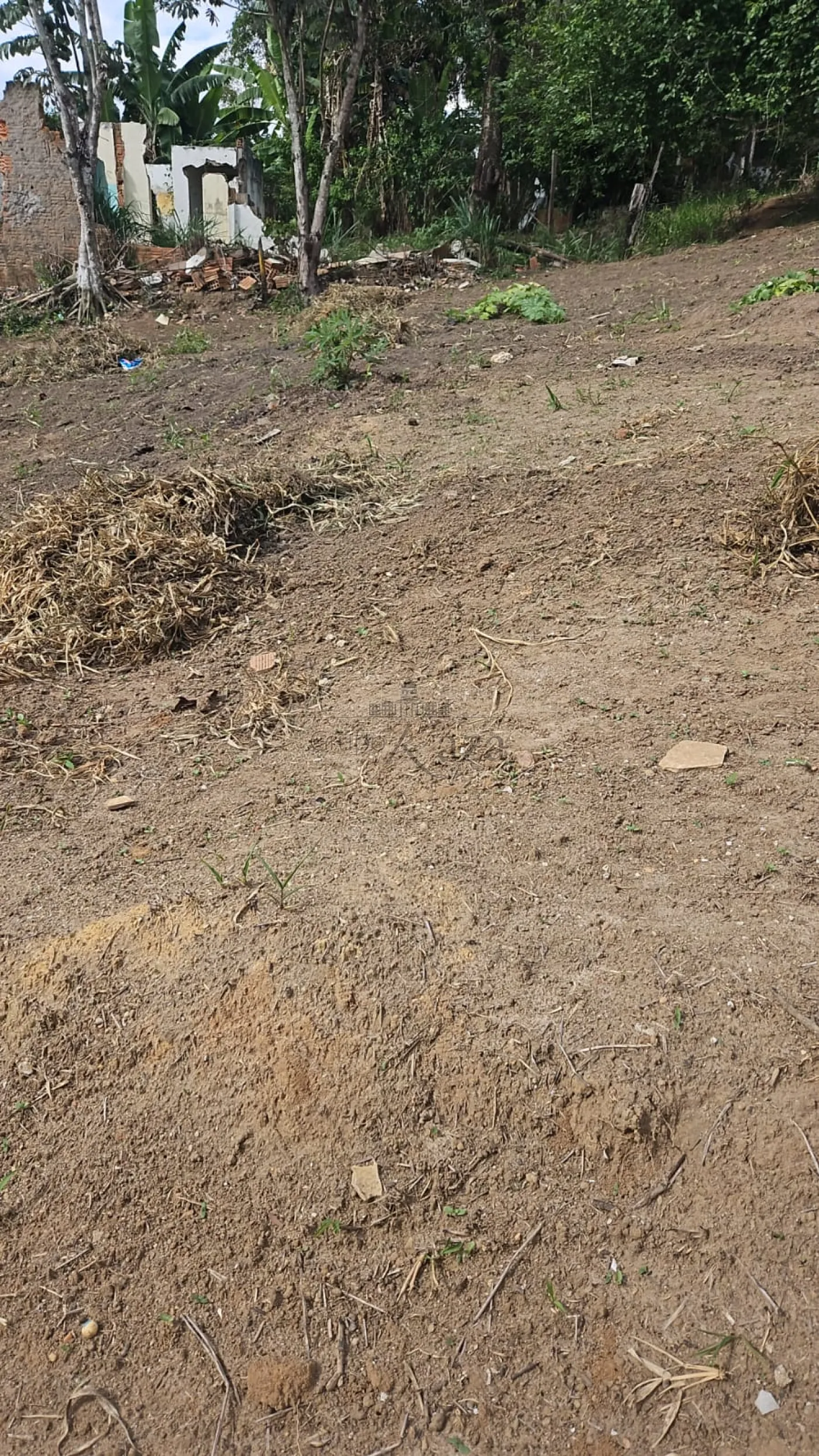 Foto 4 de Terreno Padrão em Chácaras Pousada do Vale, São José dos Campos - imagem 4