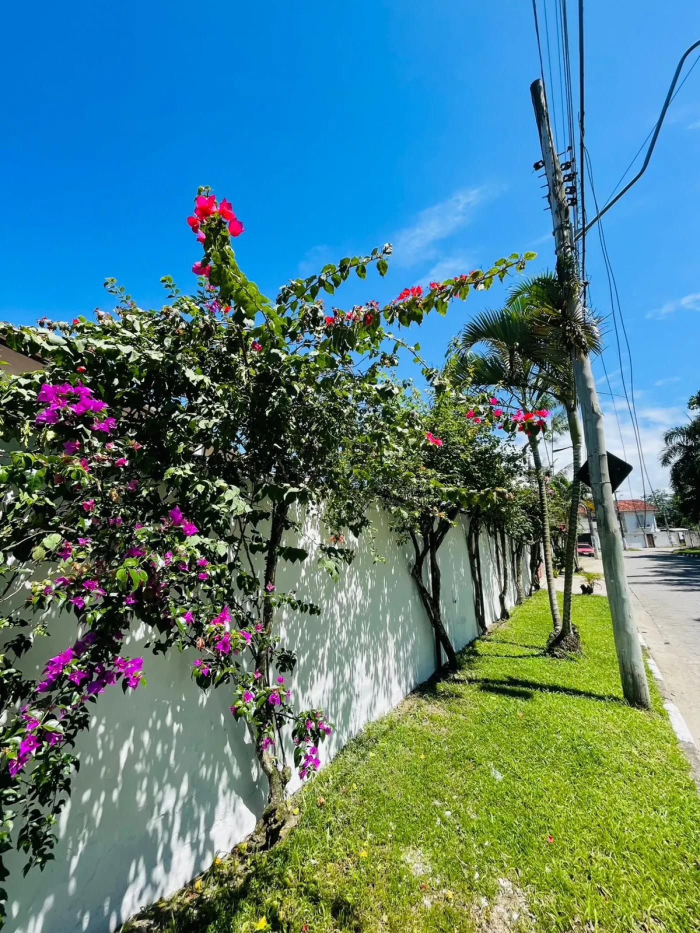 Foto 18 de Casa Condomínio em Pontal de Santa Marina, Caraguatatuba - imagem 18