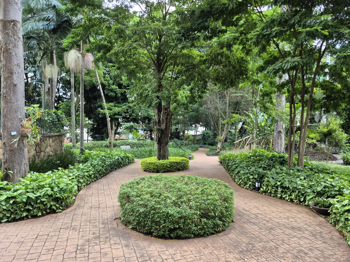 Foto 41 de Apartamento Padrão em Vila Ema, São José dos Campos - imagem 41