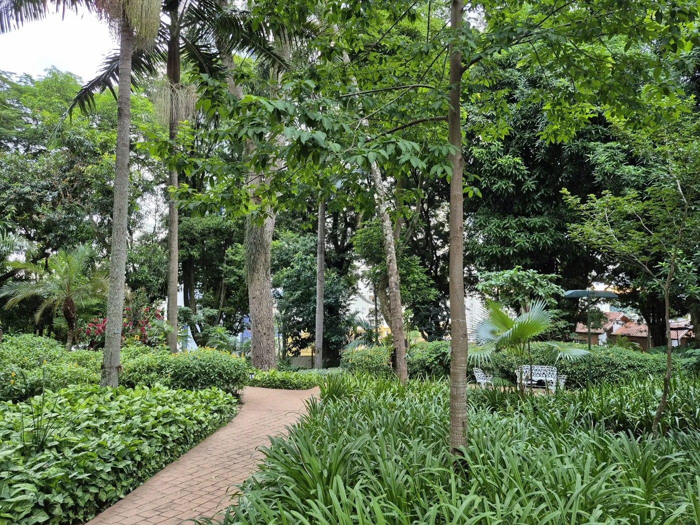 Foto 44 de Apartamento Padrão em Vila Ema, São José dos Campos - imagem 44