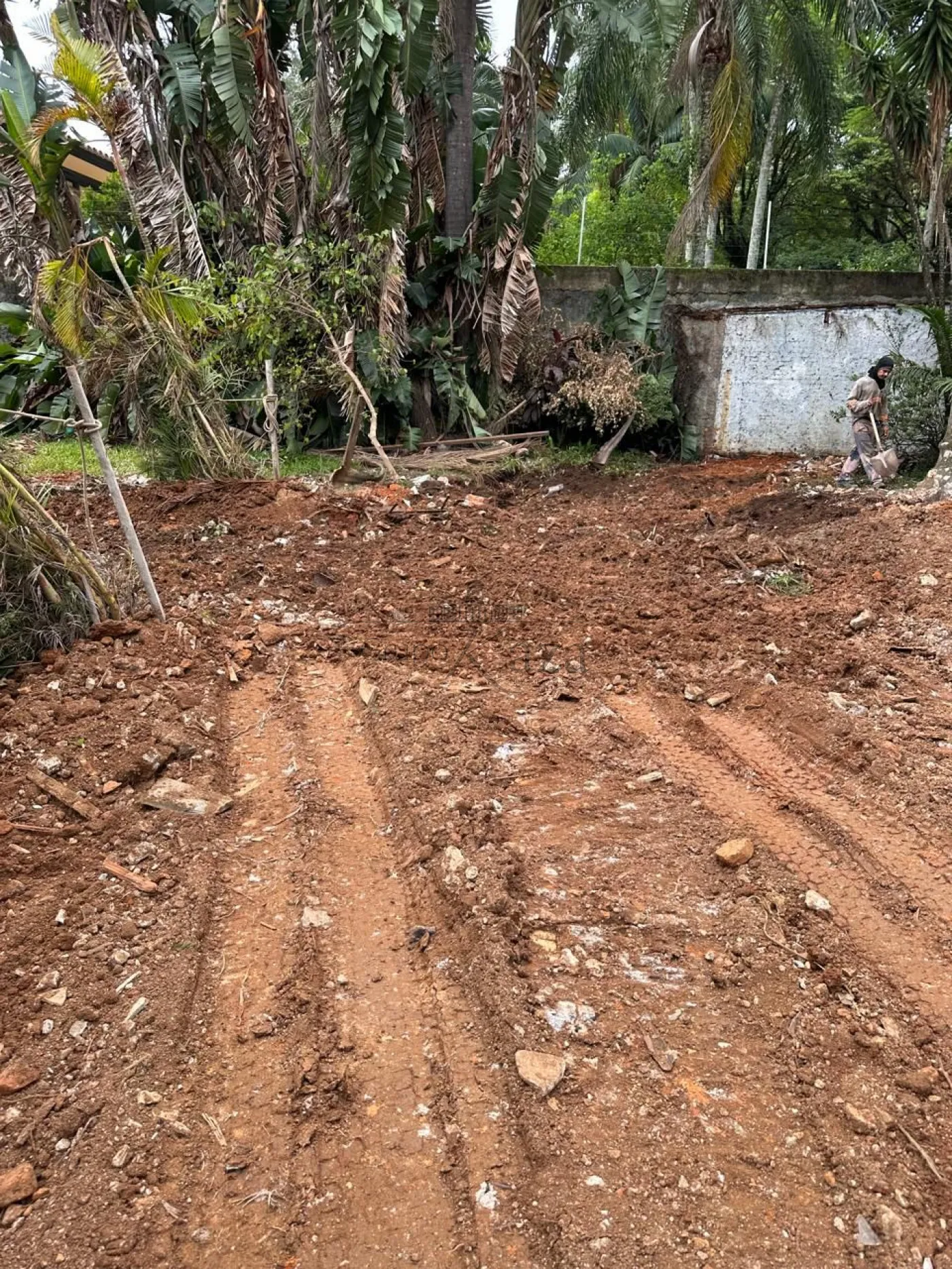 Foto 2 de Terreno Padrão em Jardim Luzitânia, São Paulo - imagem 2