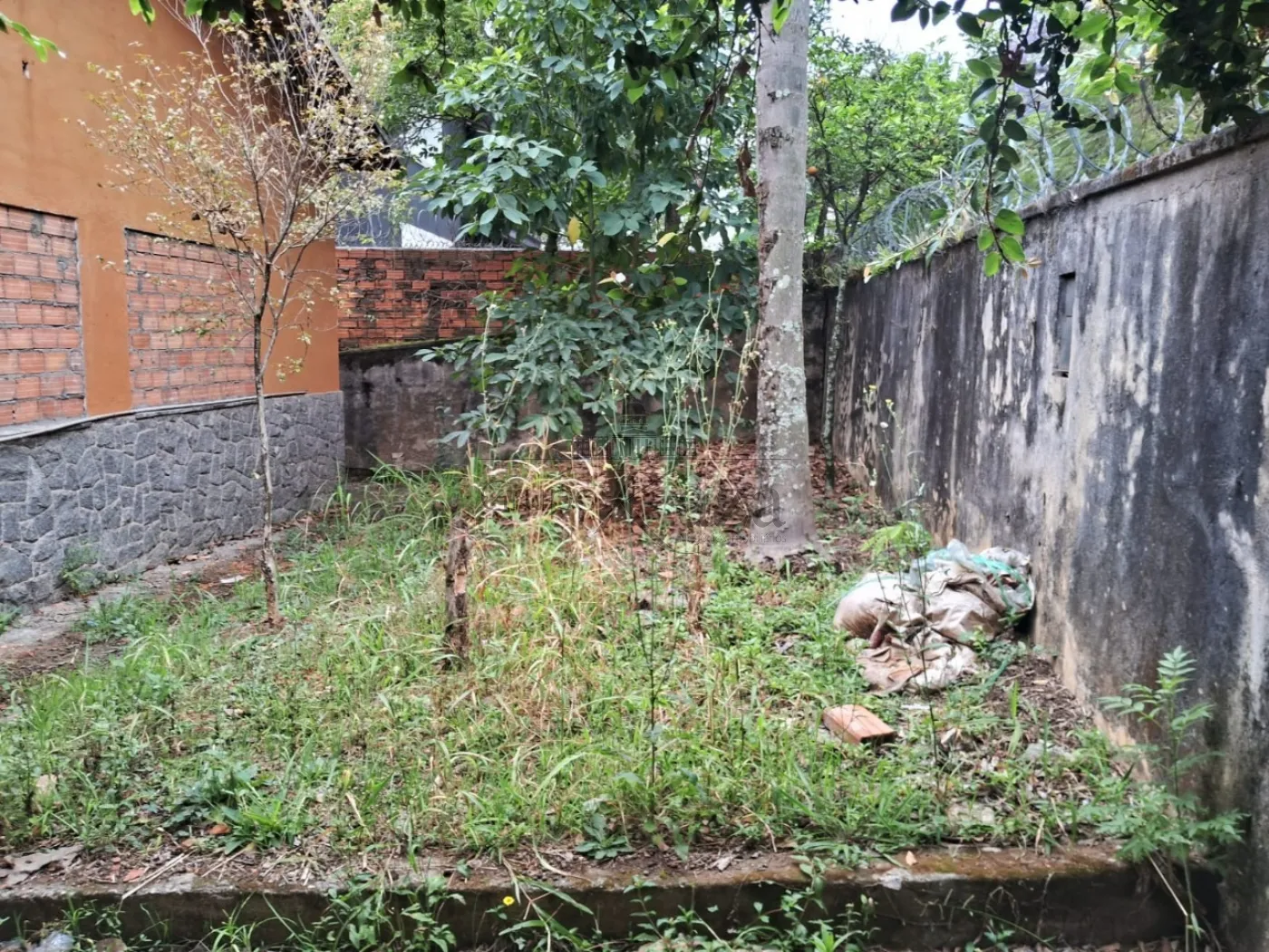 Foto 2 de Terreno Padrão em Pacaembu, São Paulo - imagem 2
