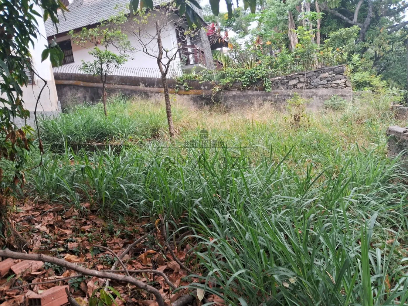 Foto 4 de Terreno Padrão em Pacaembu, São Paulo - imagem 4