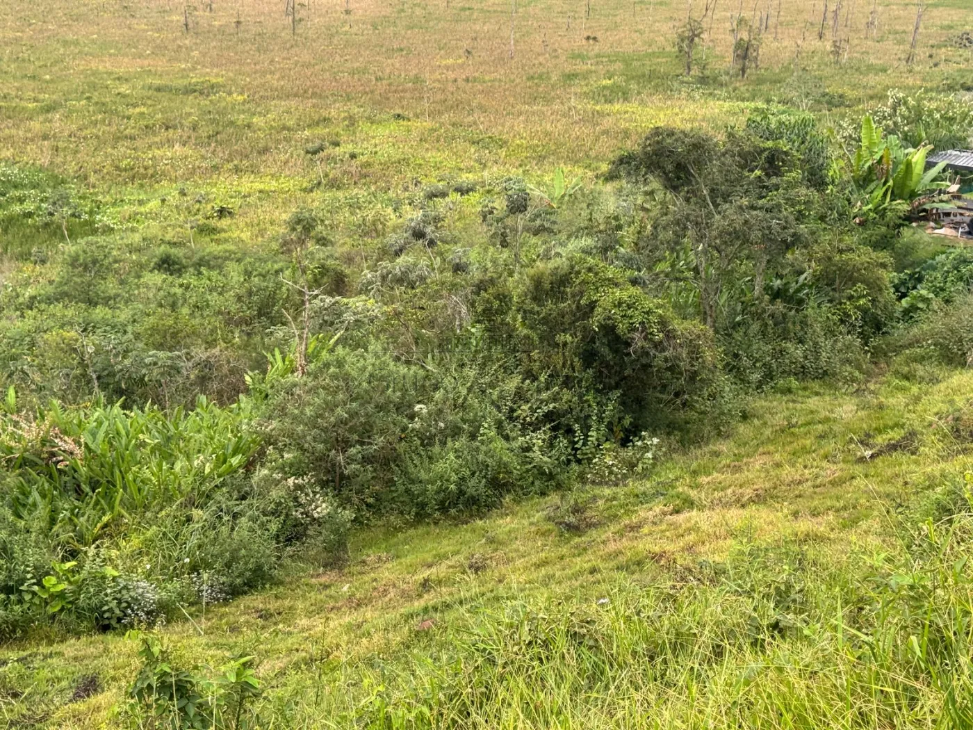 Foto 2 de Terreno Padrão em Jardim Nova América, São José dos Campos - imagem 2