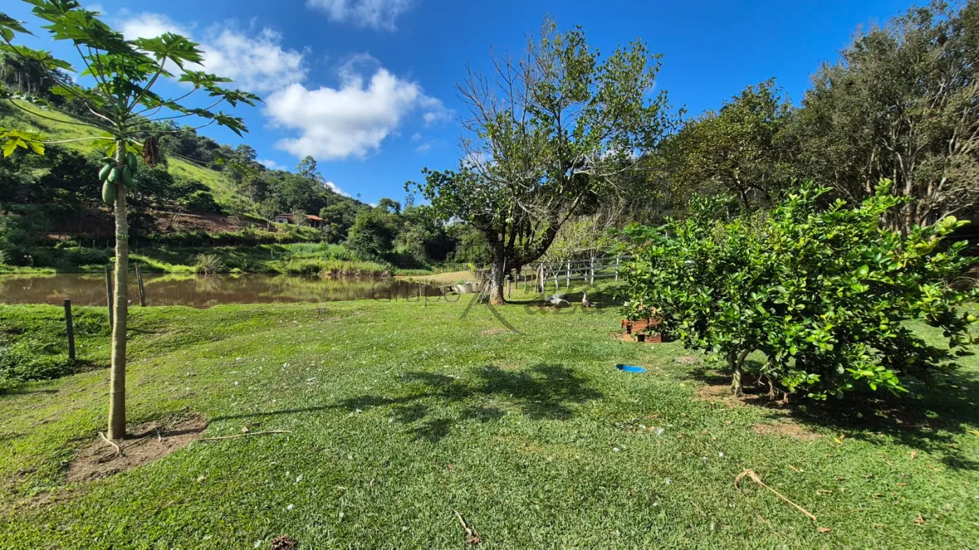 Foto 24 de Rural Sítio em Bandeira Branca, Jacareí - imagem 24