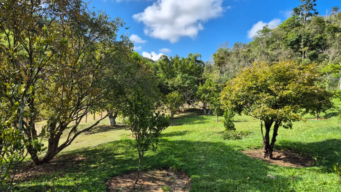 Foto 25 de Rural Sítio em Bandeira Branca, Jacareí - imagem 25