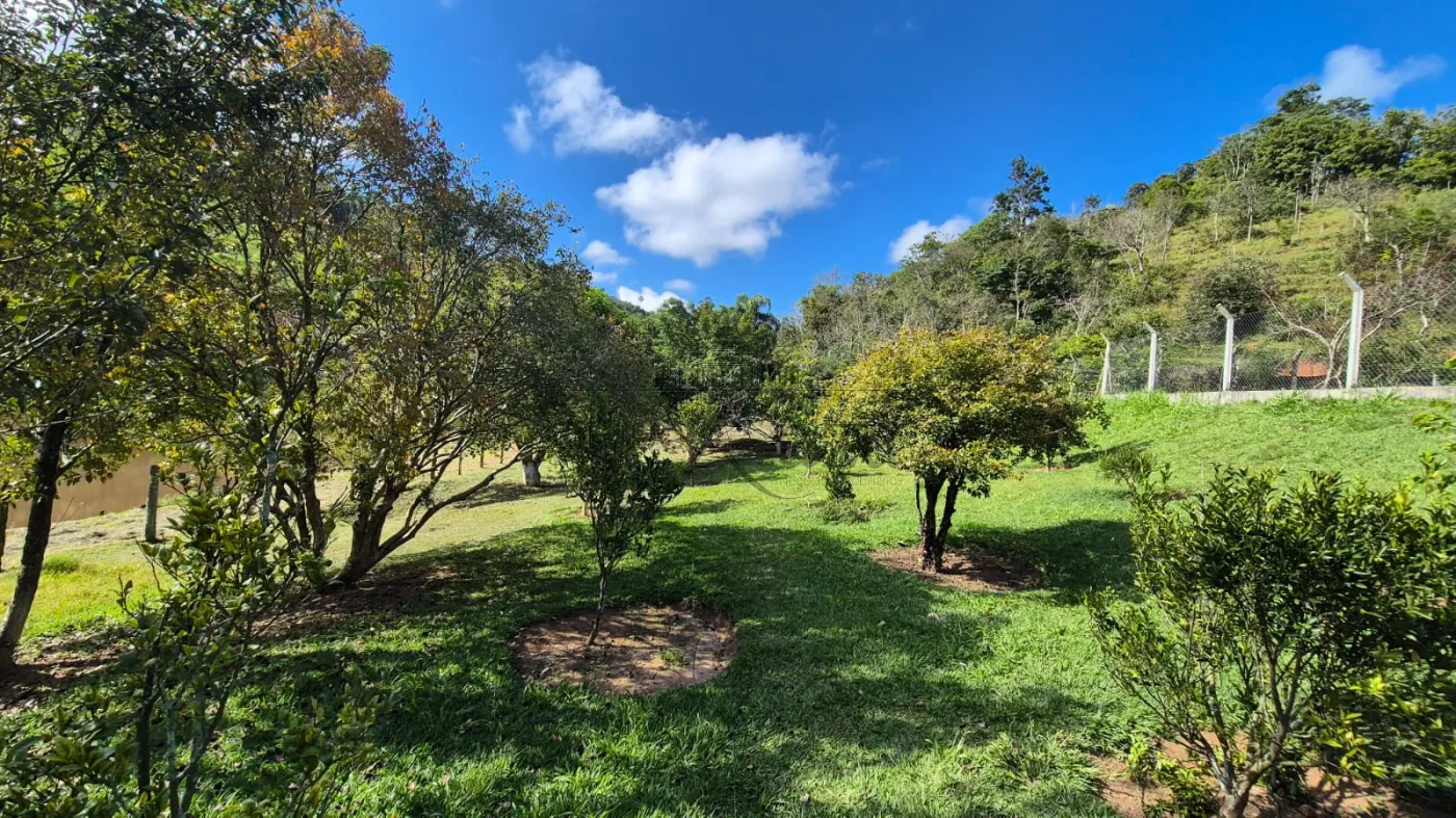 Foto 26 de Rural Sítio em Bandeira Branca, Jacareí - imagem 26
