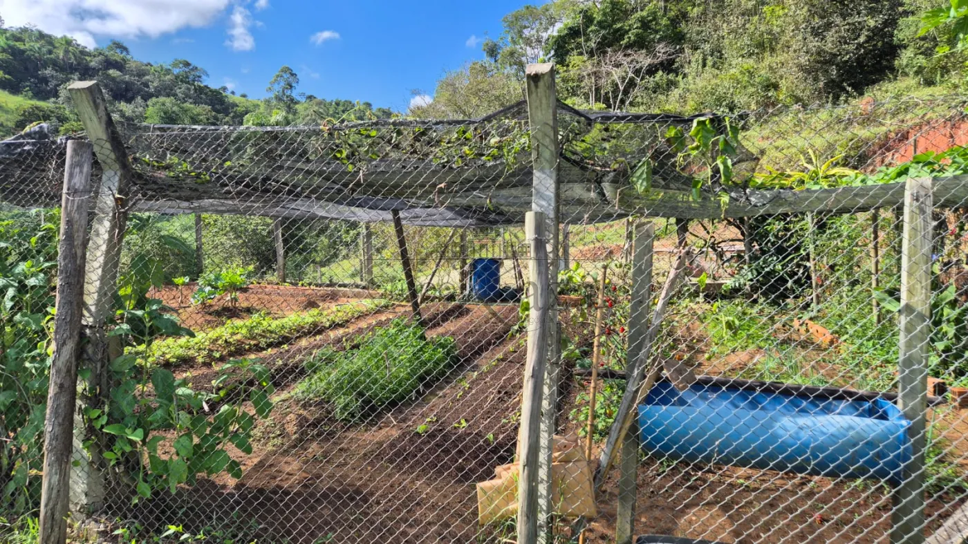 Foto 28 de Rural Sítio em Bandeira Branca, Jacareí - imagem 28