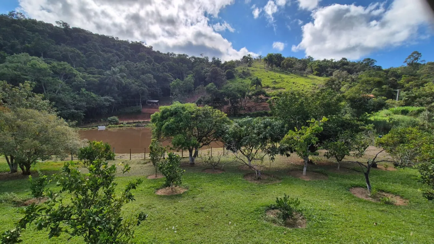 Foto 30 de Rural Sítio em Bandeira Branca, Jacareí - imagem 30