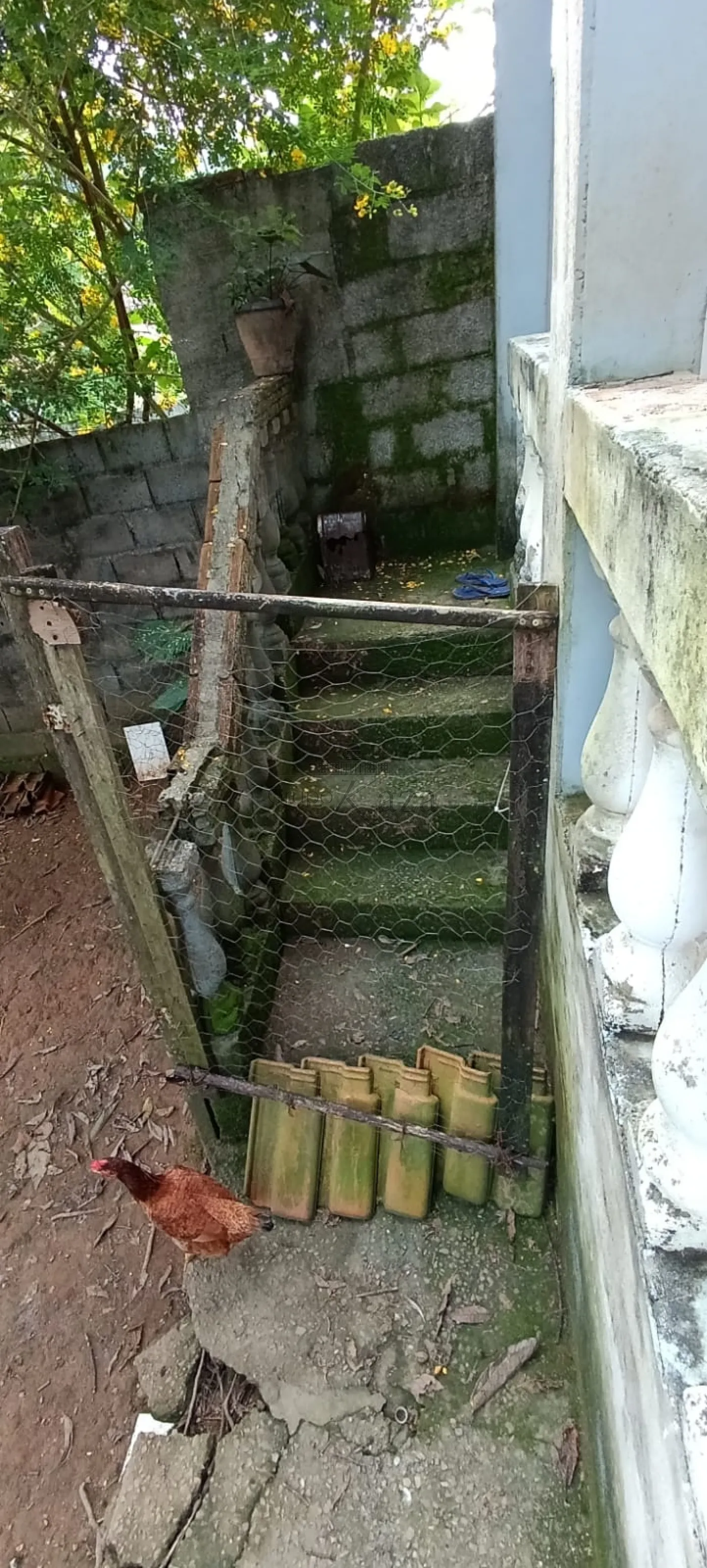 Foto 36 de Casa Térrea em Freitas, São José dos Campos - imagem 36