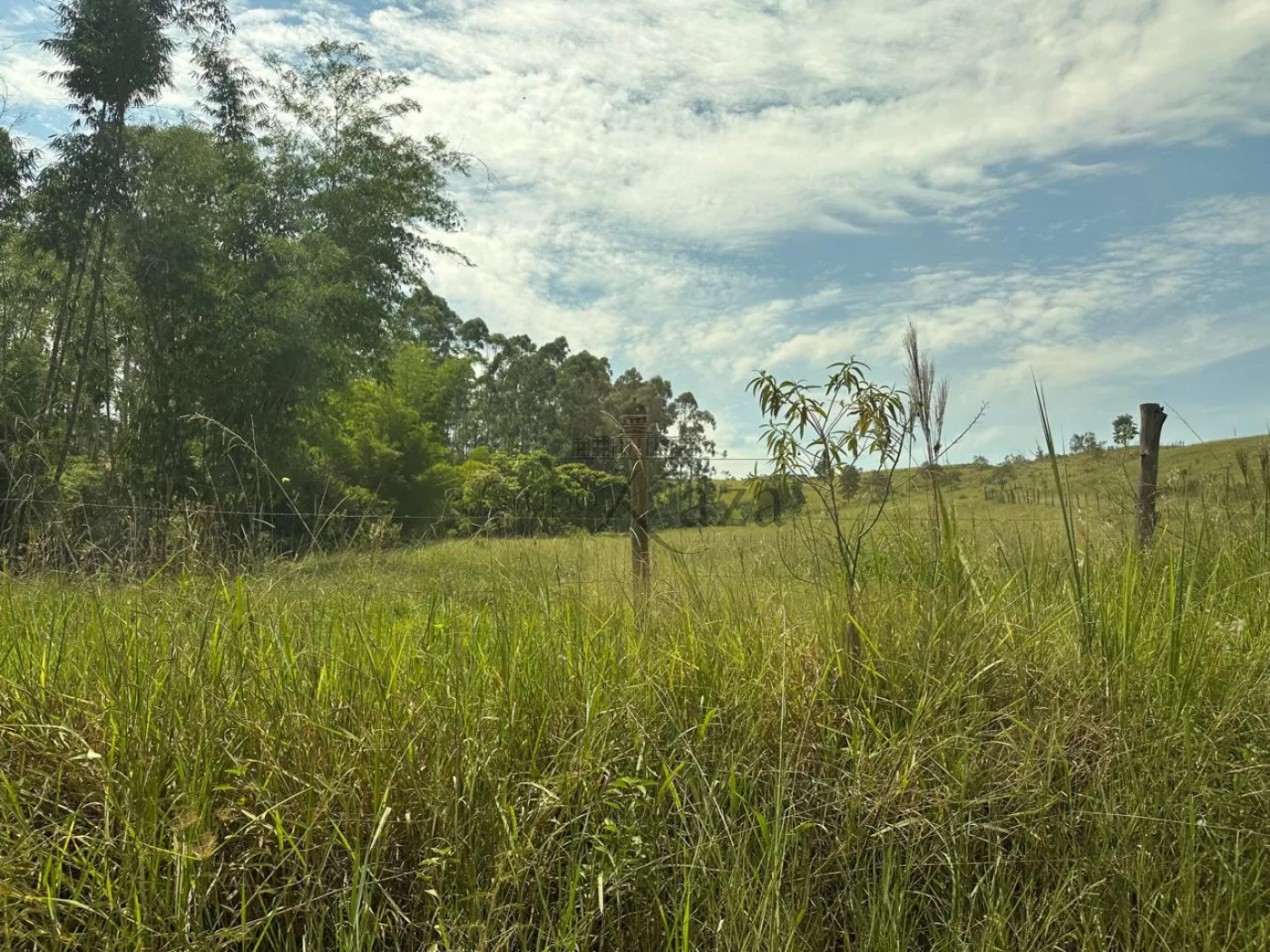 Foto 3 de Terreno Padrão em Veraneio Irajá, Jacareí - imagem 3