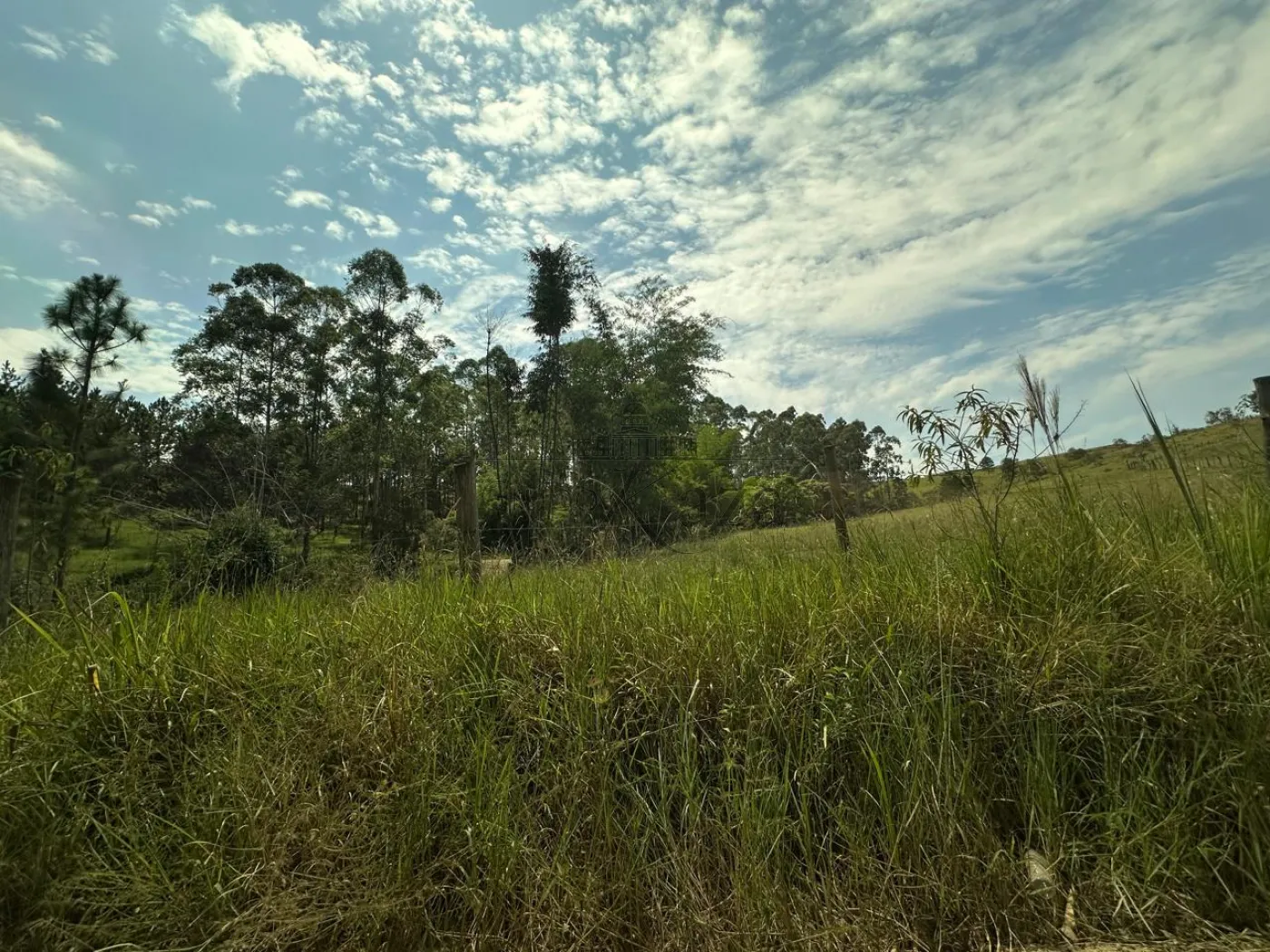 Foto 4 de Terreno Padrão em Veraneio Irajá, Jacareí - imagem 4