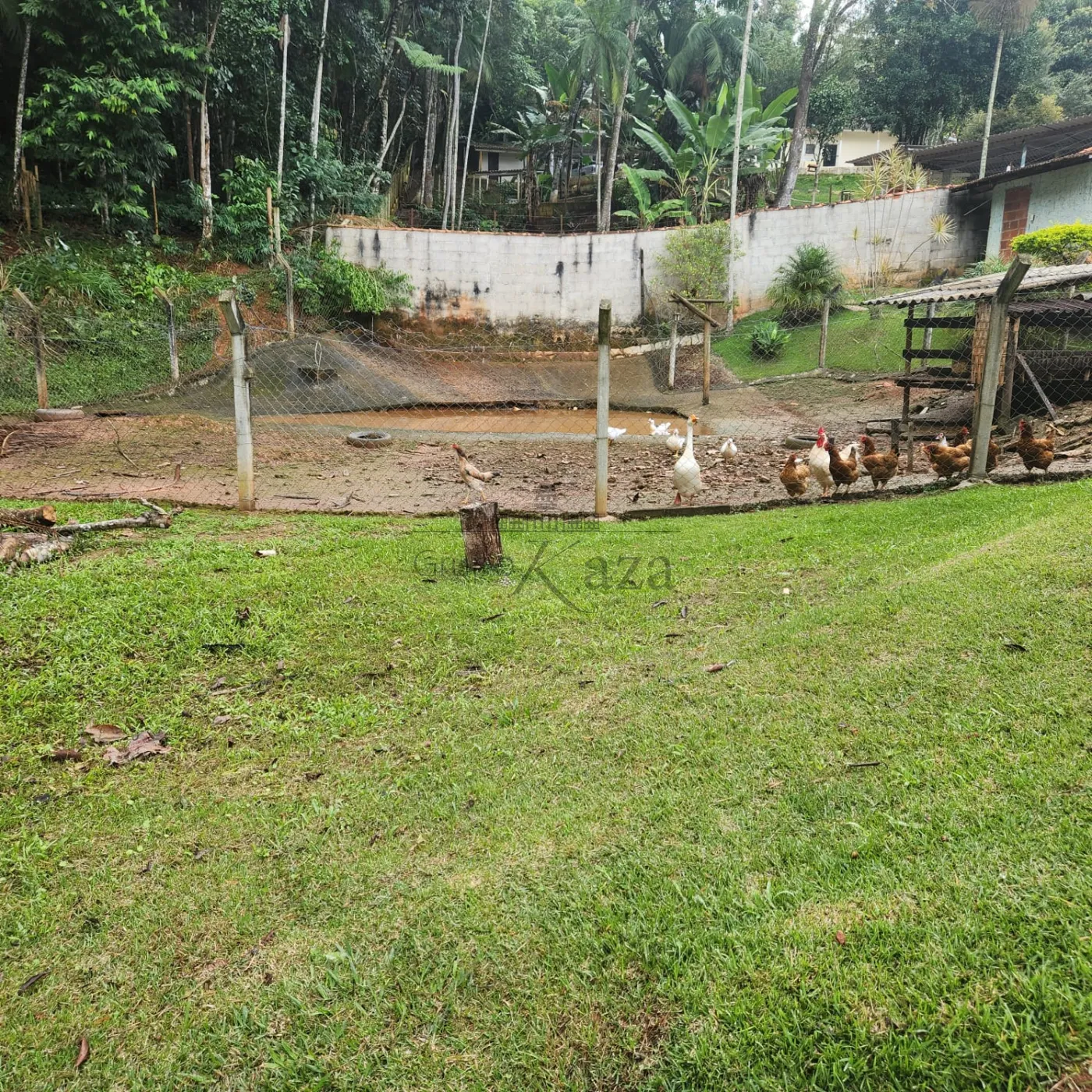Foto 18 de Rural Sítio em Sertaõzinho, São José dos Campos - imagem 18