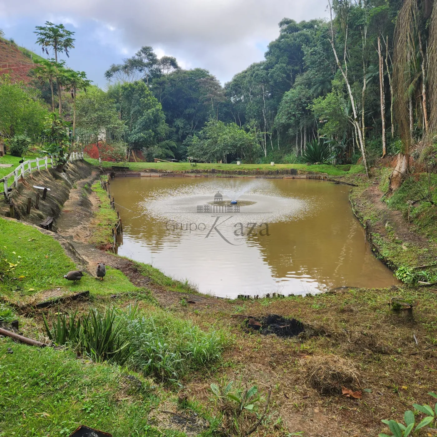 Foto 14 de Rural Sítio em Sertaõzinho, São José dos Campos - imagem 14
