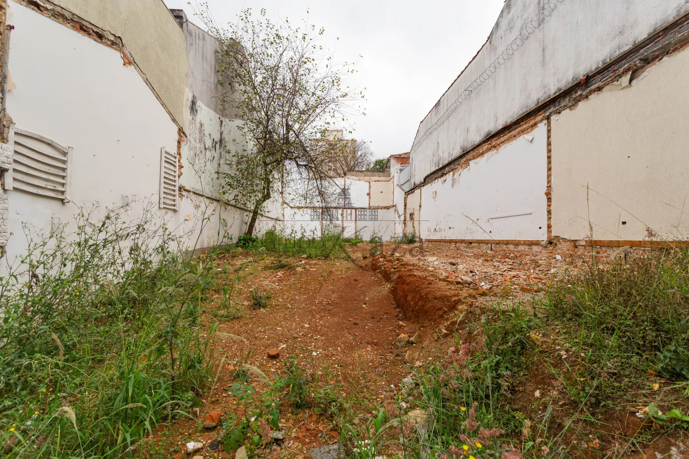 Foto 1 de Terreno Padrão em Cambuci, São Paulo - imagem 1