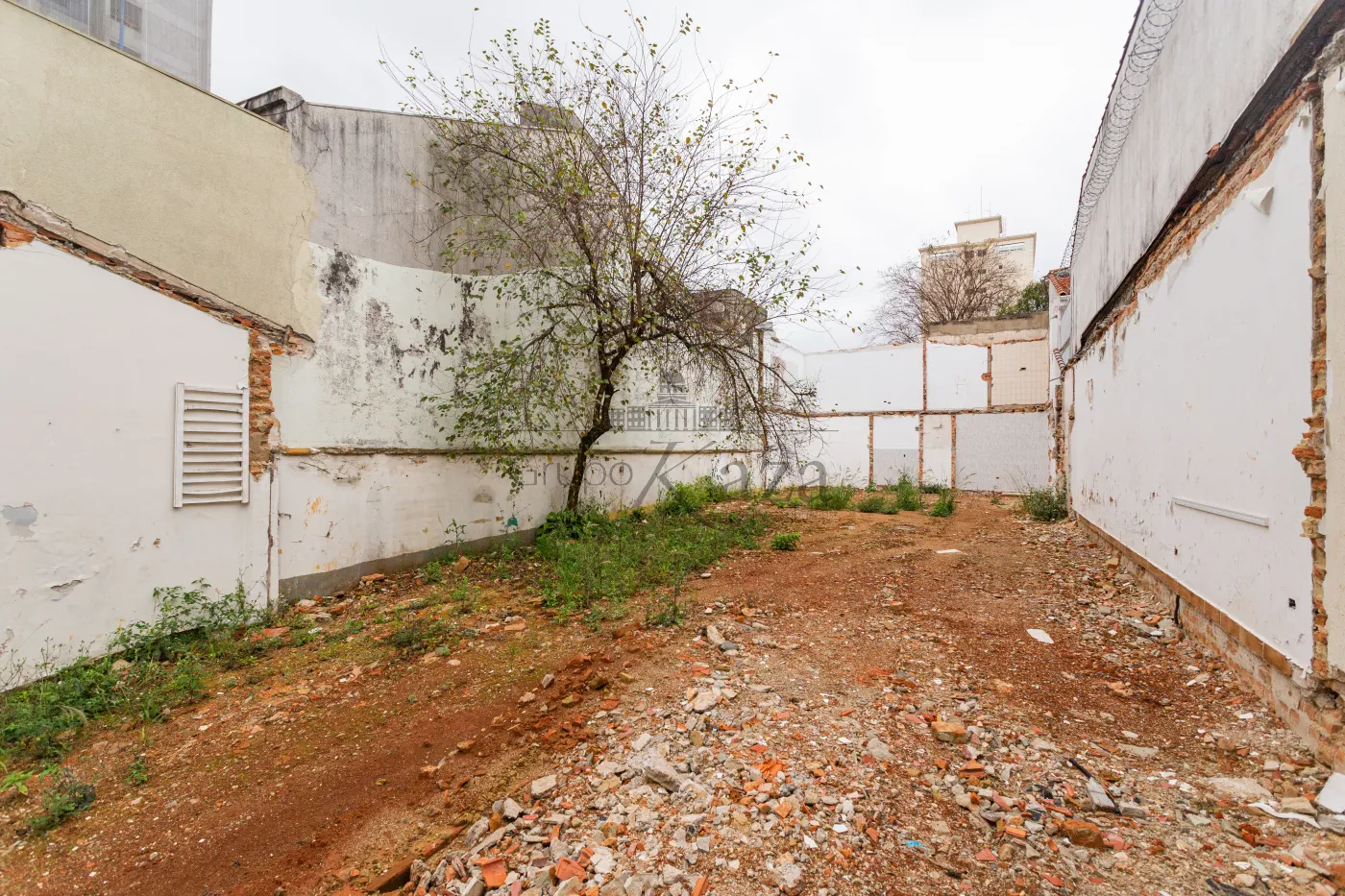 Foto 3 de Terreno Padrão em Cambuci, São Paulo - imagem 3
