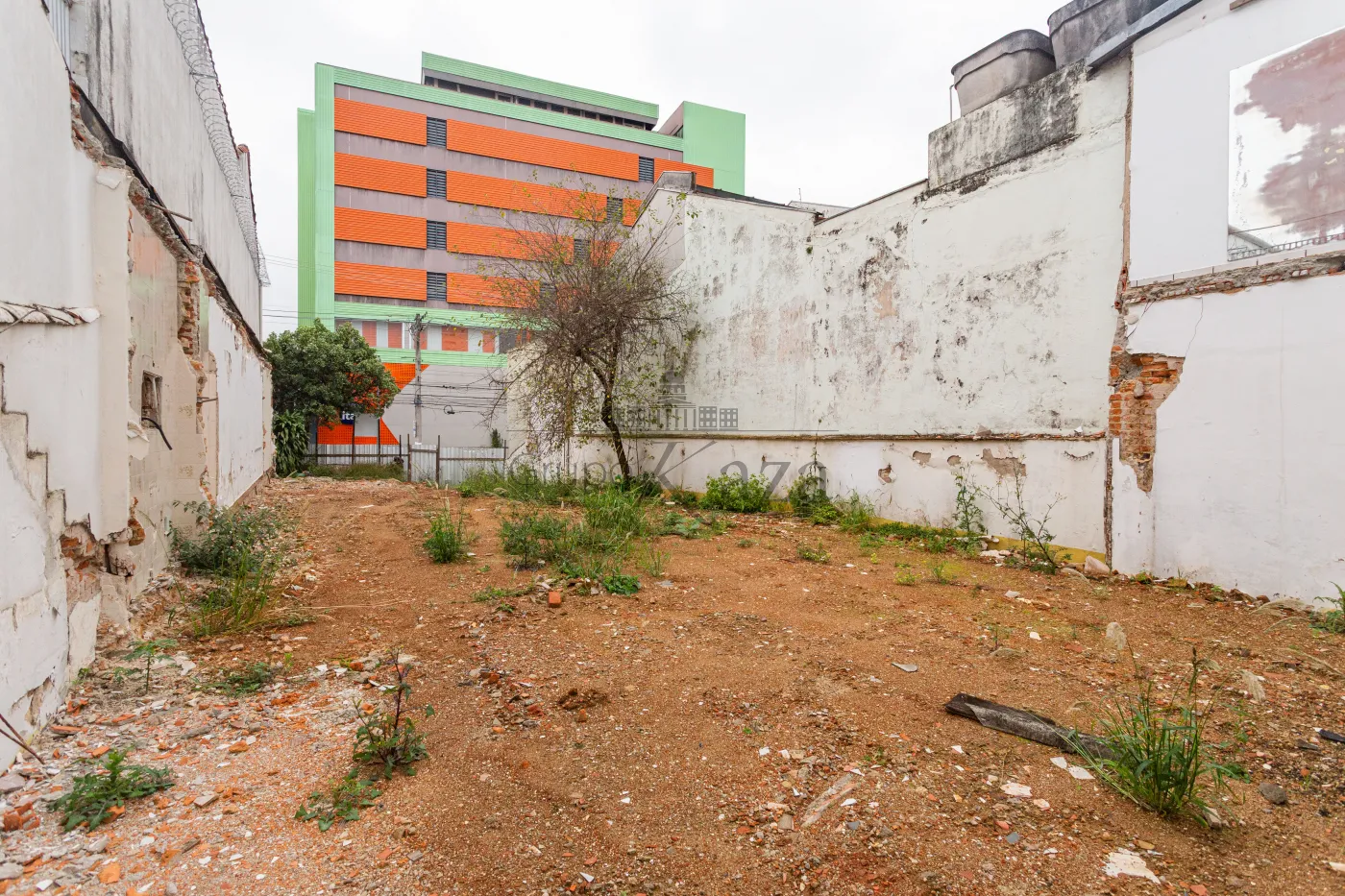 Foto 4 de Terreno Padrão em Cambuci, São Paulo - imagem 4
