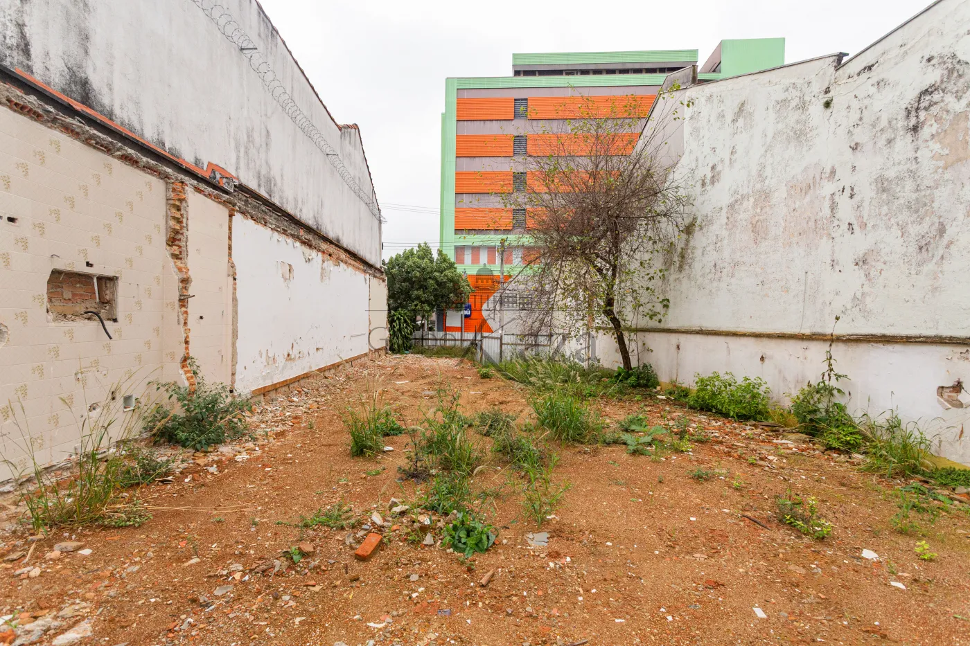 Foto 5 de Terreno Padrão em Cambuci, São Paulo - imagem 5