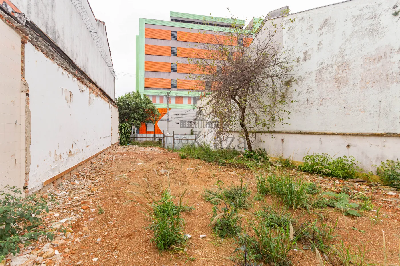 Foto 7 de Terreno Padrão em Cambuci, São Paulo - imagem 7