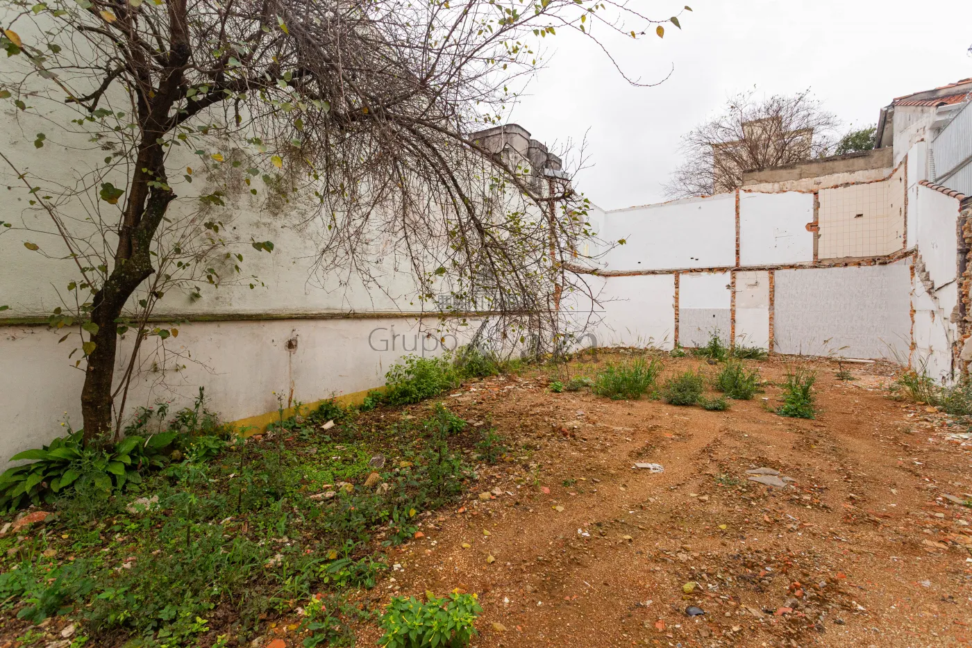 Foto 11 de Terreno Padrão em Cambuci, São Paulo - imagem 11