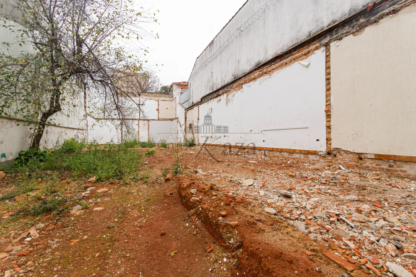 Foto 12 de Terreno Padrão em Cambuci, São Paulo - imagem 12