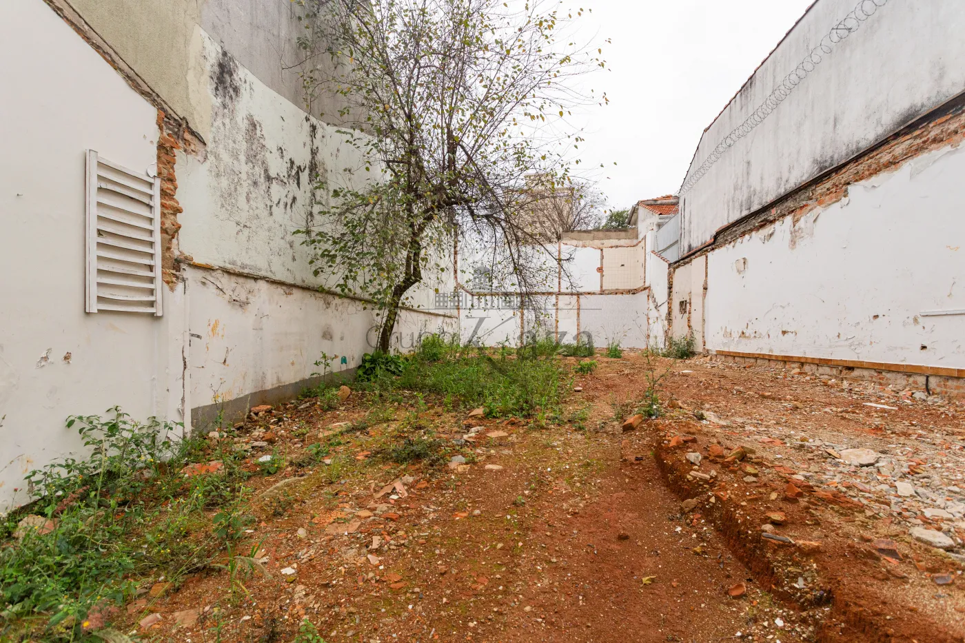 Foto 13 de Terreno Padrão em Cambuci, São Paulo - imagem 13