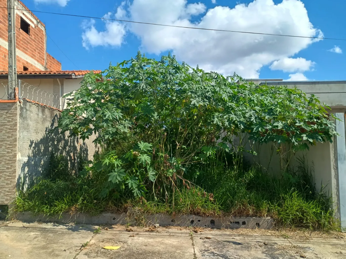 Foto 2 de Terreno Padrão em Vila Monterrey, São José dos Campos - imagem 2