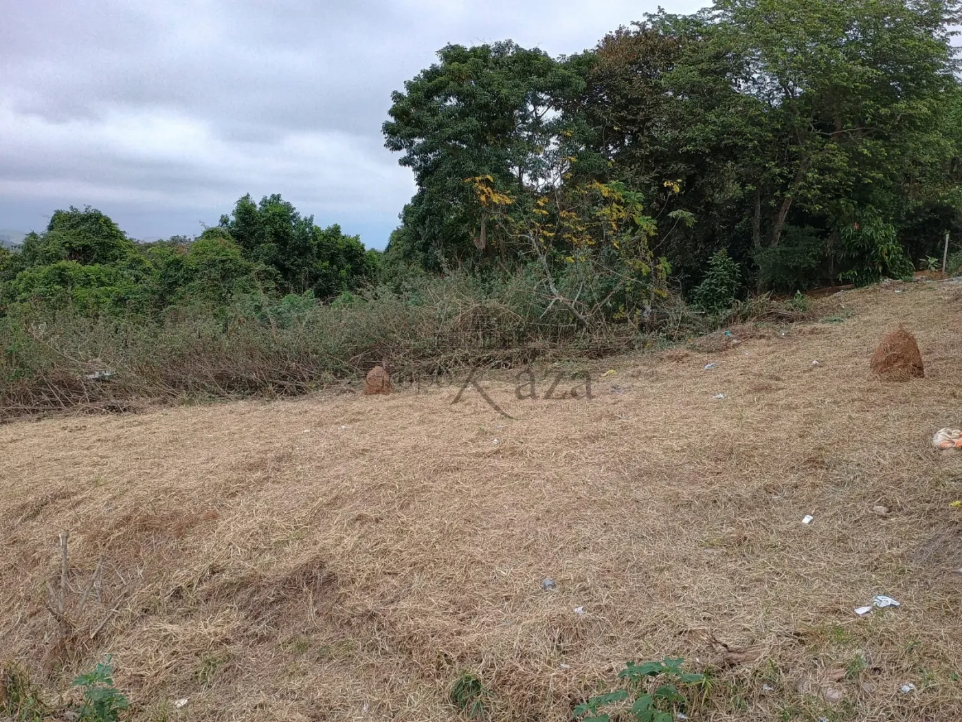 Foto 2 de Terreno Padrão em Jardim República, São José dos Campos - imagem 2
