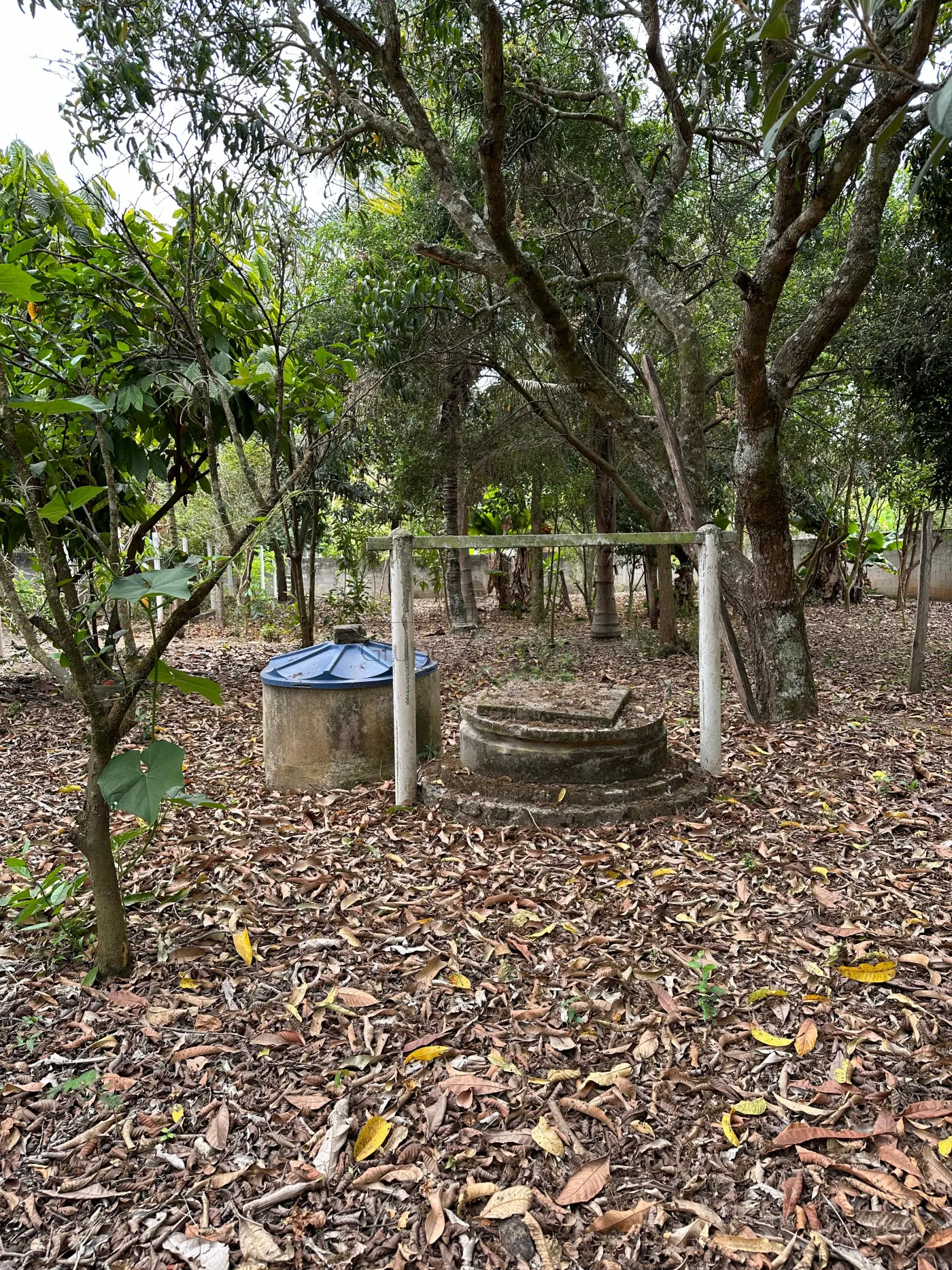 Foto 3 de Terreno Padrão em Jardim Primavera II, São José dos Campos - imagem 3