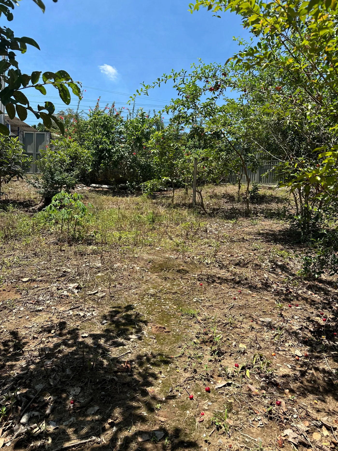 Foto 4 de Terreno Padrão em Jardim Primavera II, São José dos Campos - imagem 4