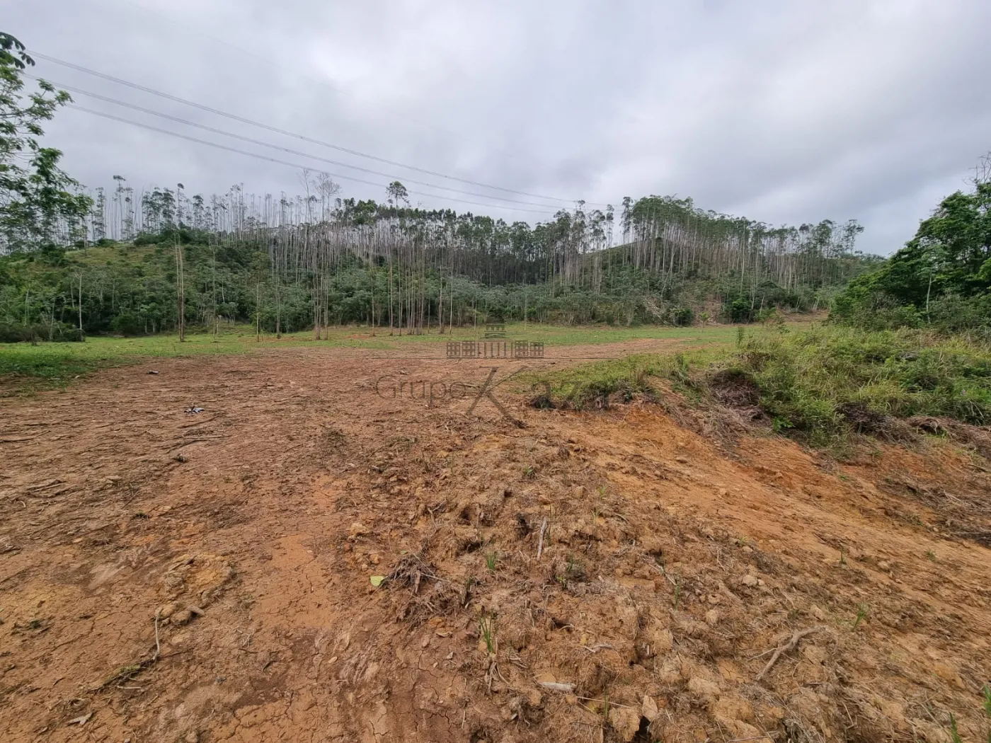 Foto 2 de Rural sem benfeitorias Área sem benfeitorias em Buquirinha, São José dos Campos - imagem 2