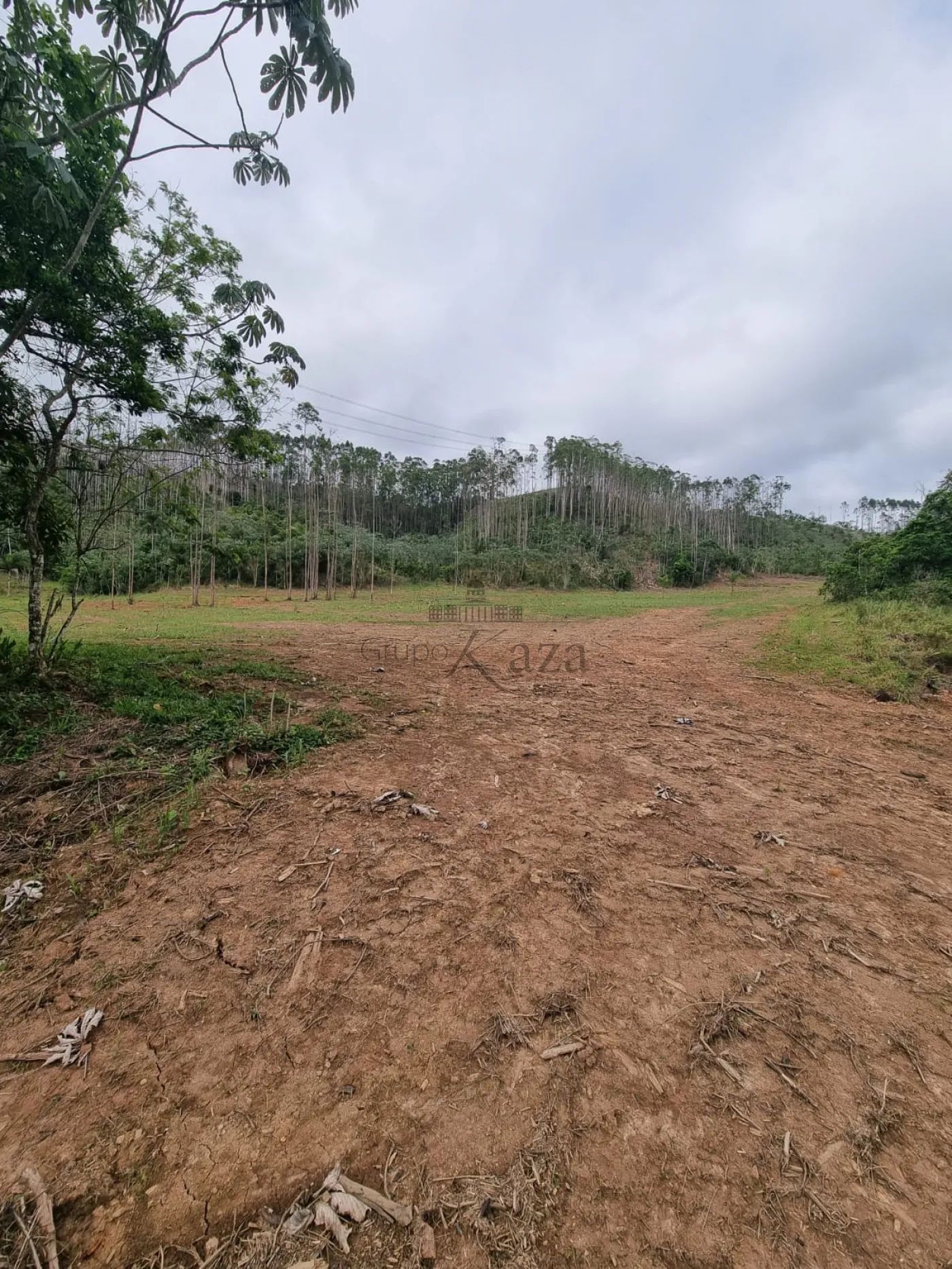 Foto 10 de Rural sem benfeitorias Área sem benfeitorias em Buquirinha, São José dos Campos - imagem 10