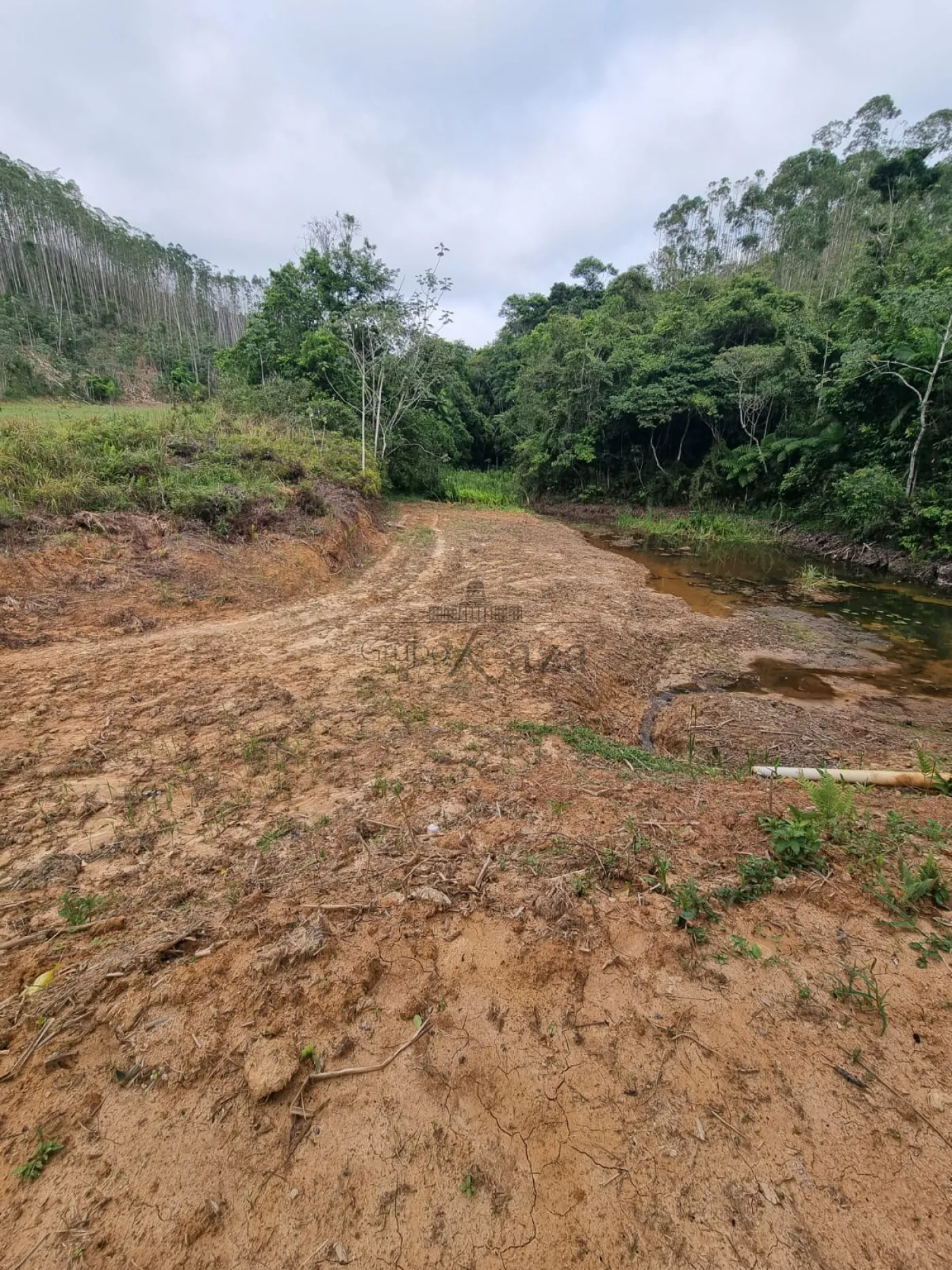 Foto 20 de Rural sem benfeitorias Área sem benfeitorias em Buquirinha, São José dos Campos - imagem 20