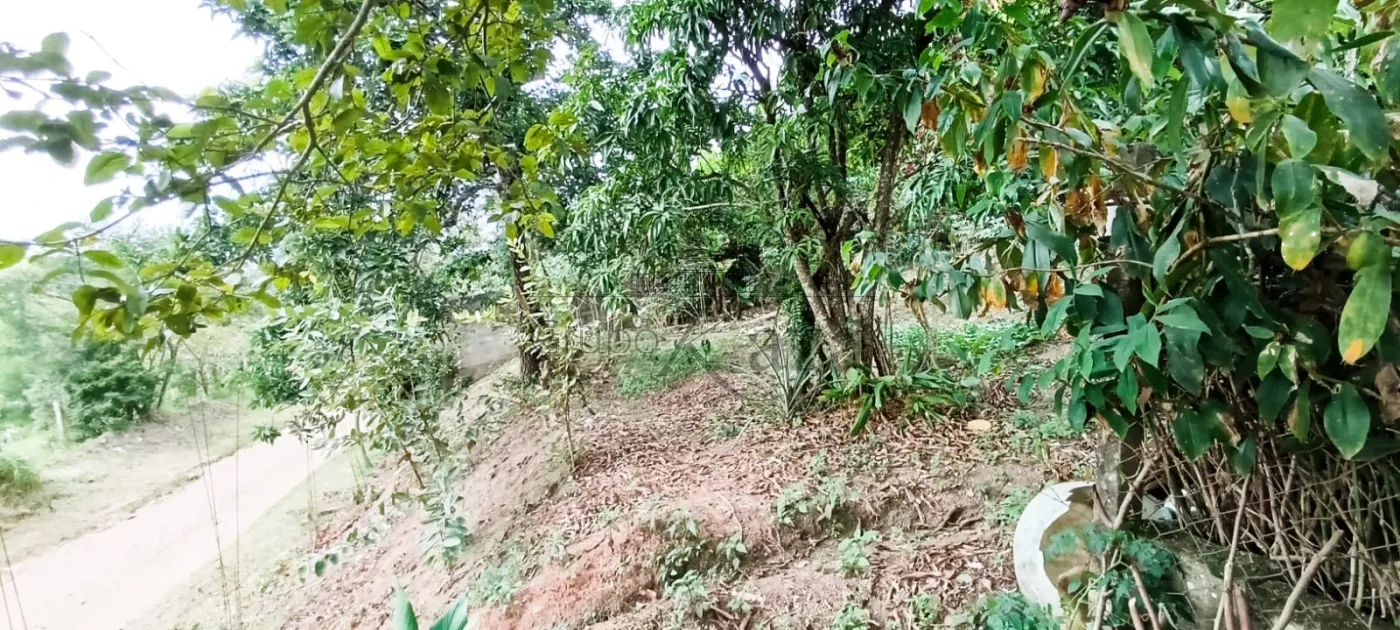 Foto 11 de Rural Chácara em Veraneio Irajá, Jacareí - imagem 11