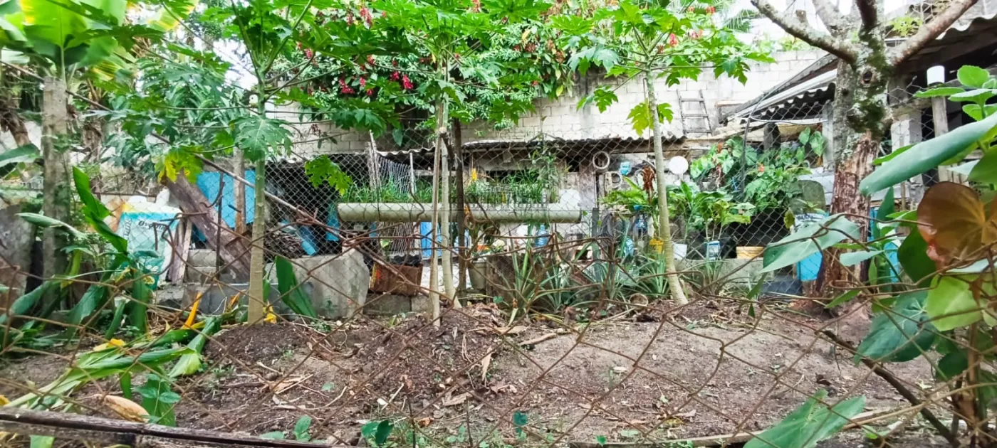 Foto 10 de Rural Chácara em Veraneio Irajá, Jacareí - imagem 10