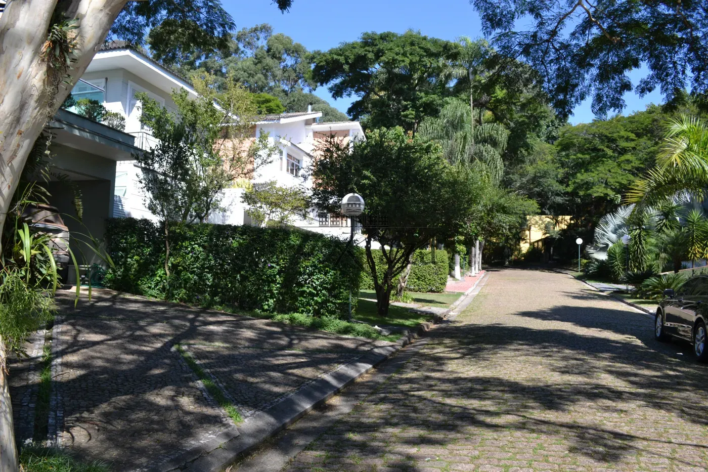 Perspectiva da rua