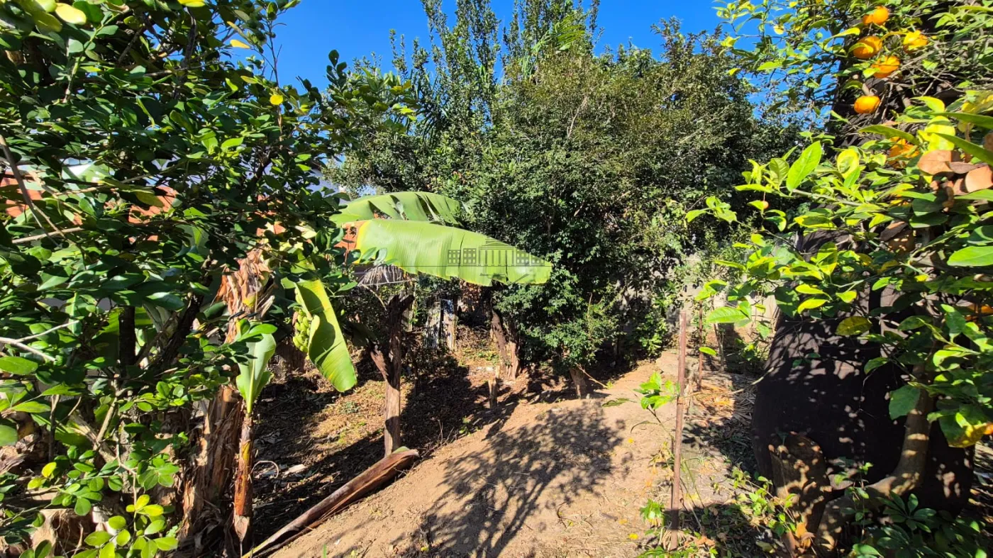 Foto 3 de Terreno Padrão em Vila Pinheiro, Jacareí - imagem 3